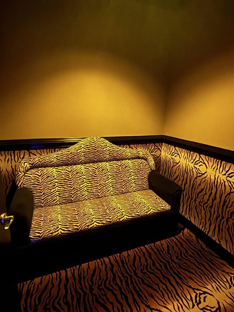 Cheetah couch